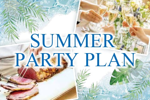 SUMMER PARTY PLAN